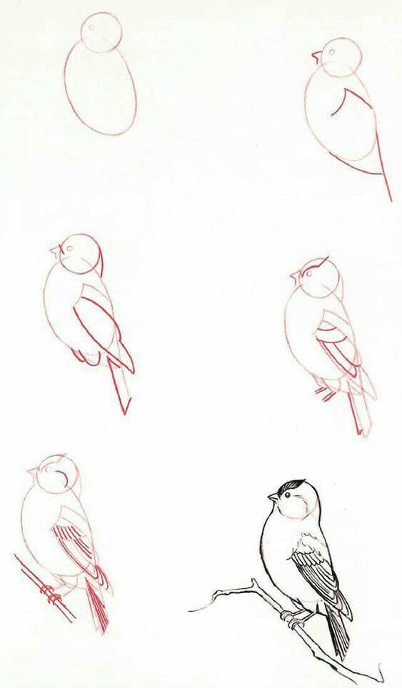 Idée d’oiseau (19) dessin