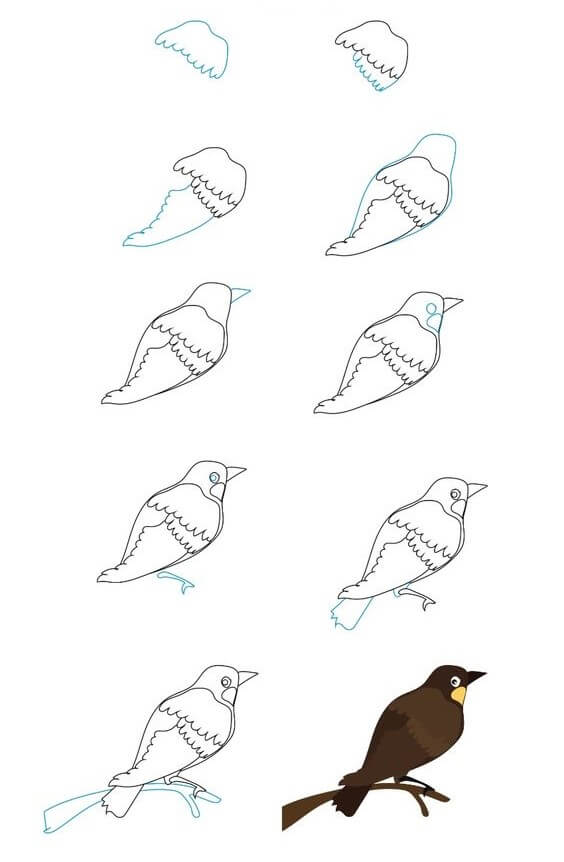 Idée d’oiseau (2) dessin