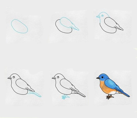 Idée d’oiseau (20) dessin