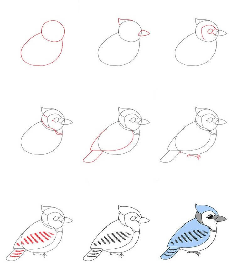 Idée d'oiseau (21) dessin