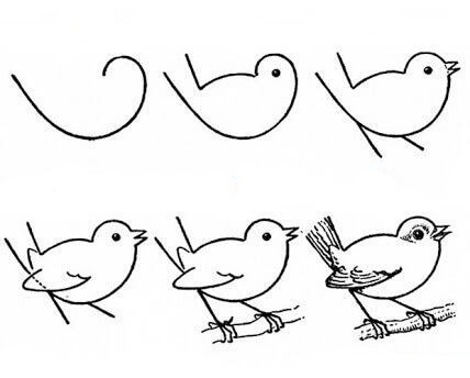 Idée d’oiseau (22) dessin