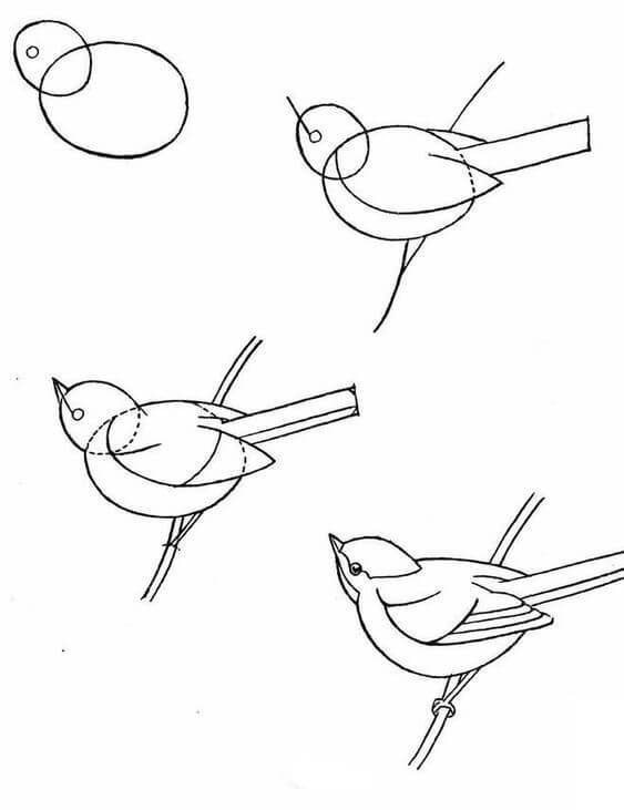Idée d’oiseau (24) dessin