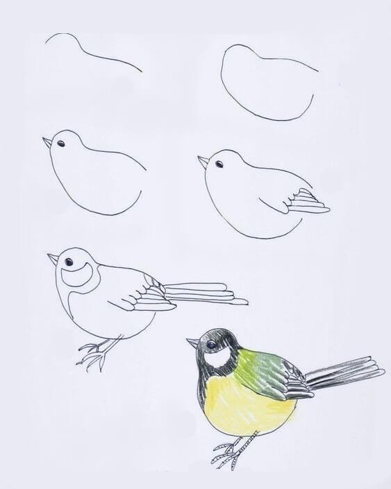 Idée d'oiseau (25) dessin