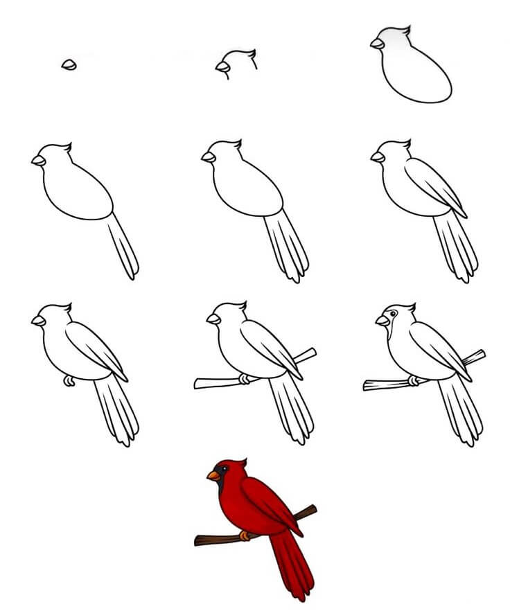 Idée d'oiseau (28) dessin