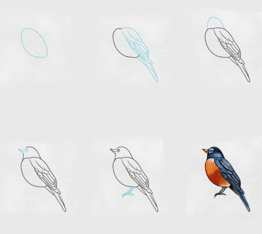 Idée d’oiseau (29) dessin
