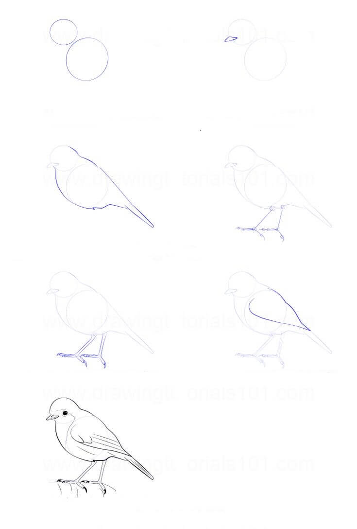 Idée d’oiseau (4) dessin