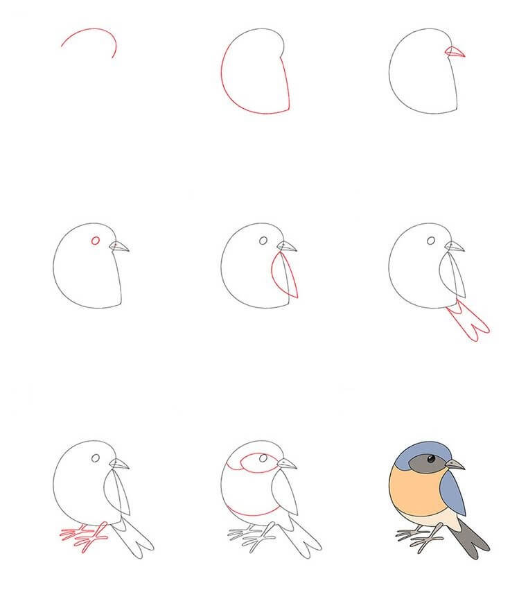 Idée d’oiseau (5) dessin