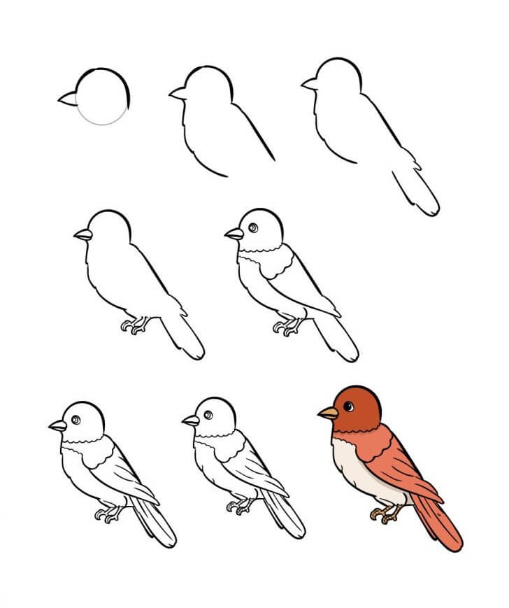 Idée d’oiseau (7) dessin