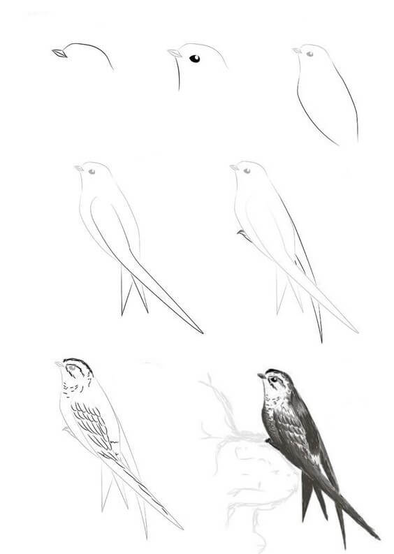 Idée d'oiseau (8) dessin