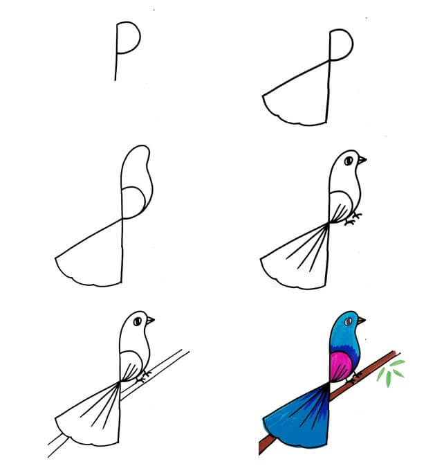 idées d'oiseaux (36) dessin