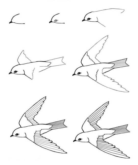 Nid d'oiseau (1) dessin