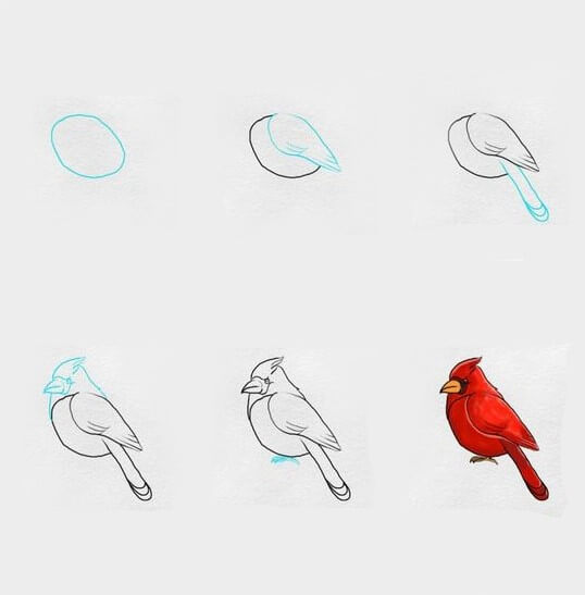 Oiseau rouge dessin