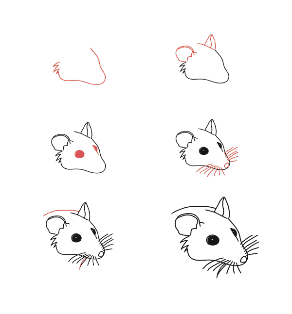 Tête de souris dessin