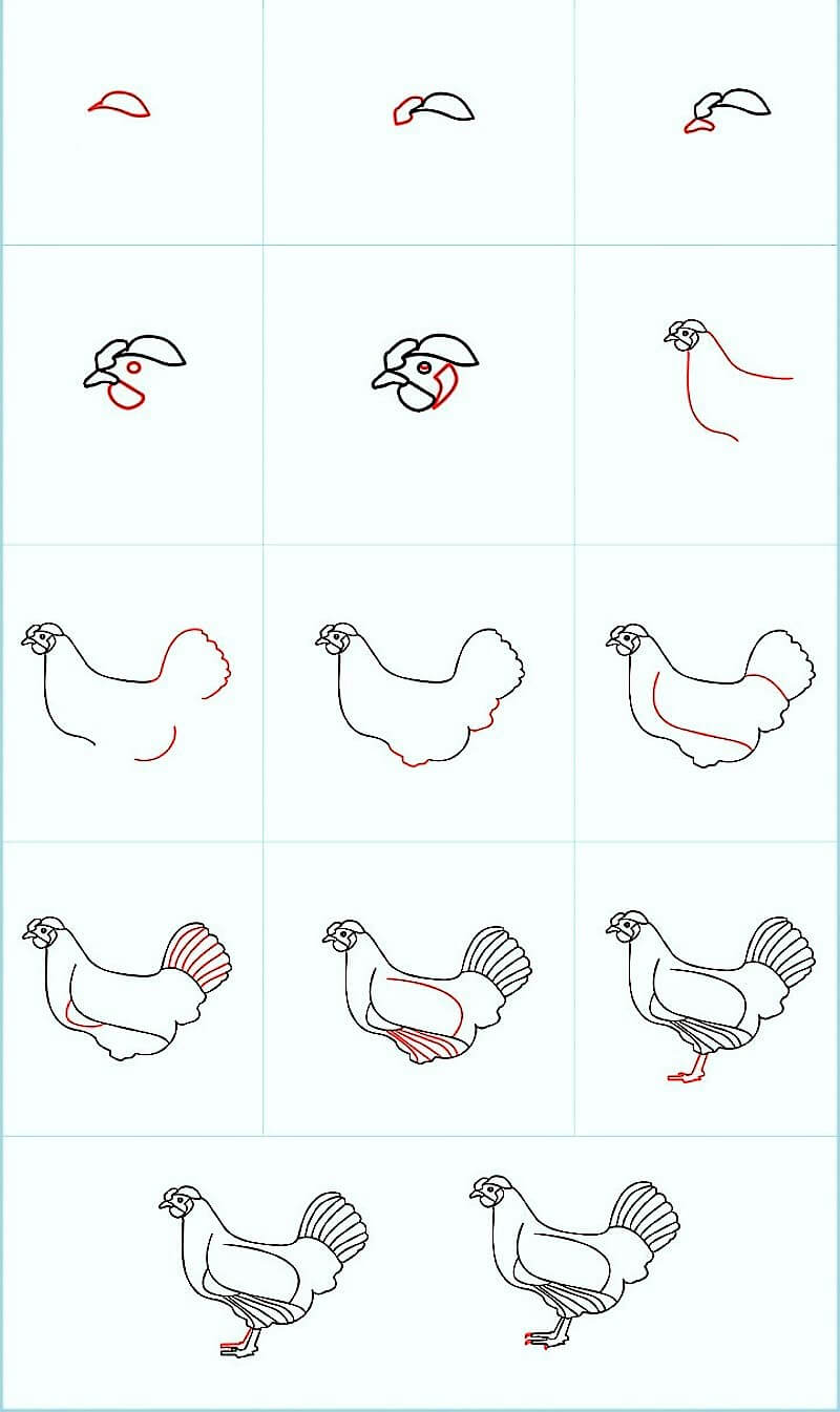 Un beau poulet dessin