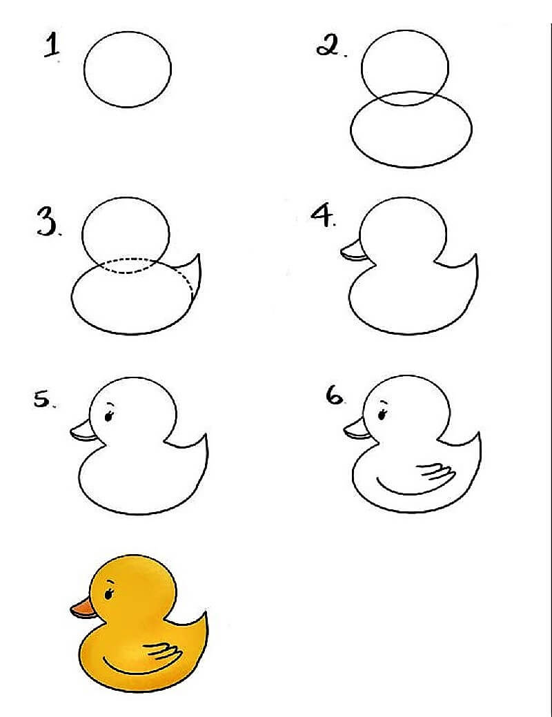 Un canard facile dessin