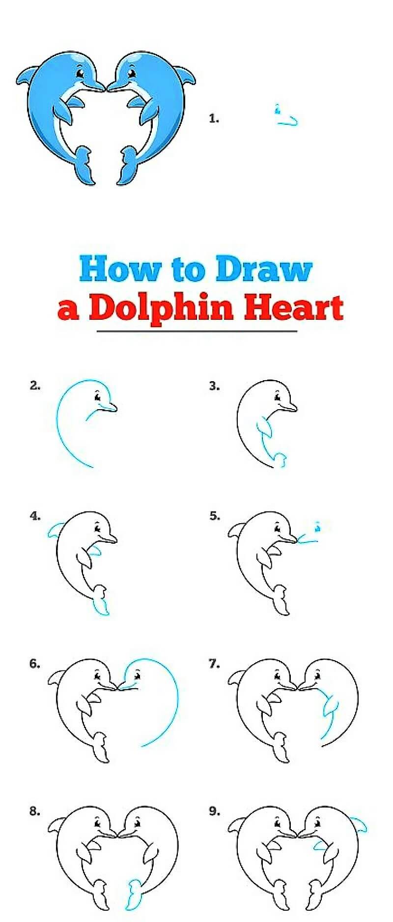 Un coeur de dauphin dessin