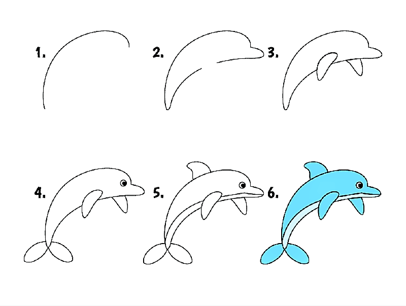 Un dauphin bleu dessin