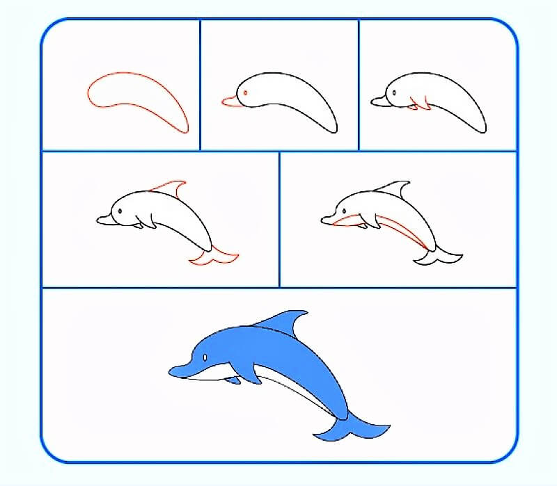 Un dauphin réaliste dessin