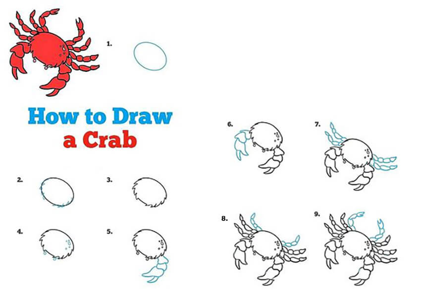 Un simple crabe dessin