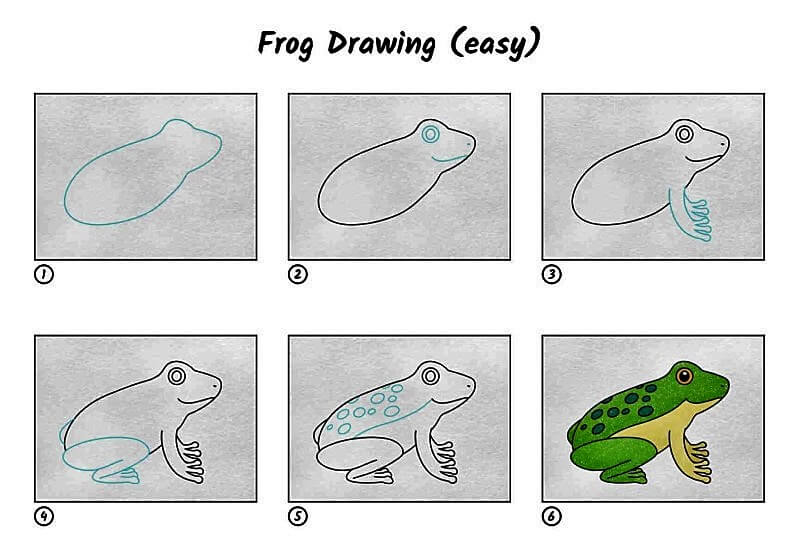 Une grenouille facile dessin