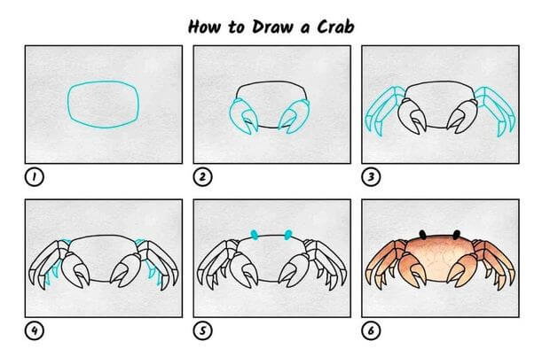 Une idée de crabe 4 dessin