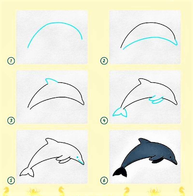 Une idée de dauphin 10 dessin
