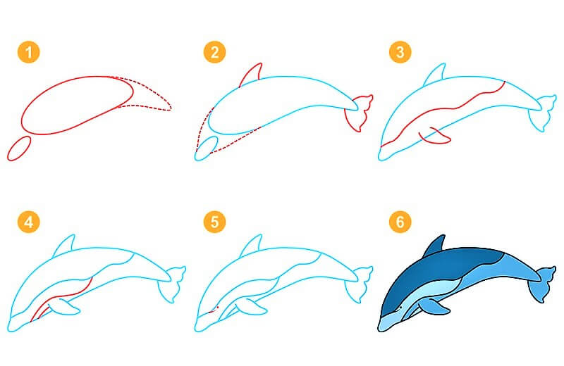Une idée de dauphin 11 dessin