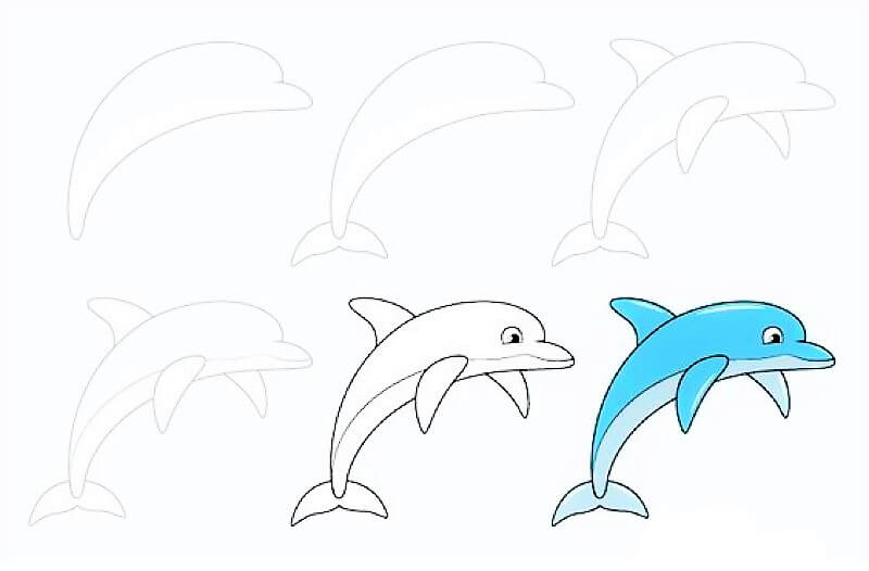Une idée de dauphin 13 dessin