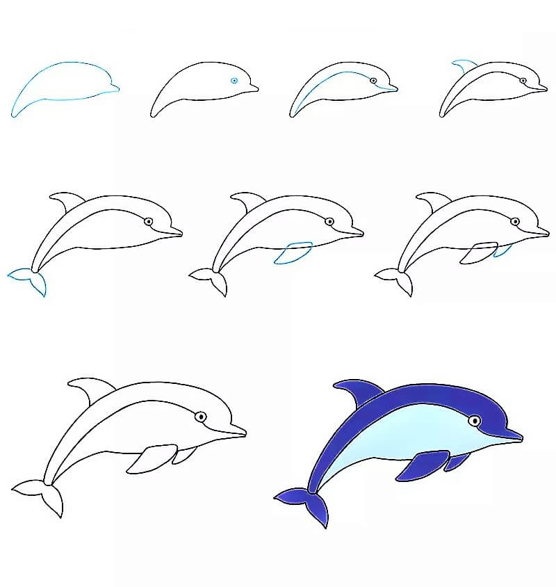 Une idée de dauphin 17 dessin