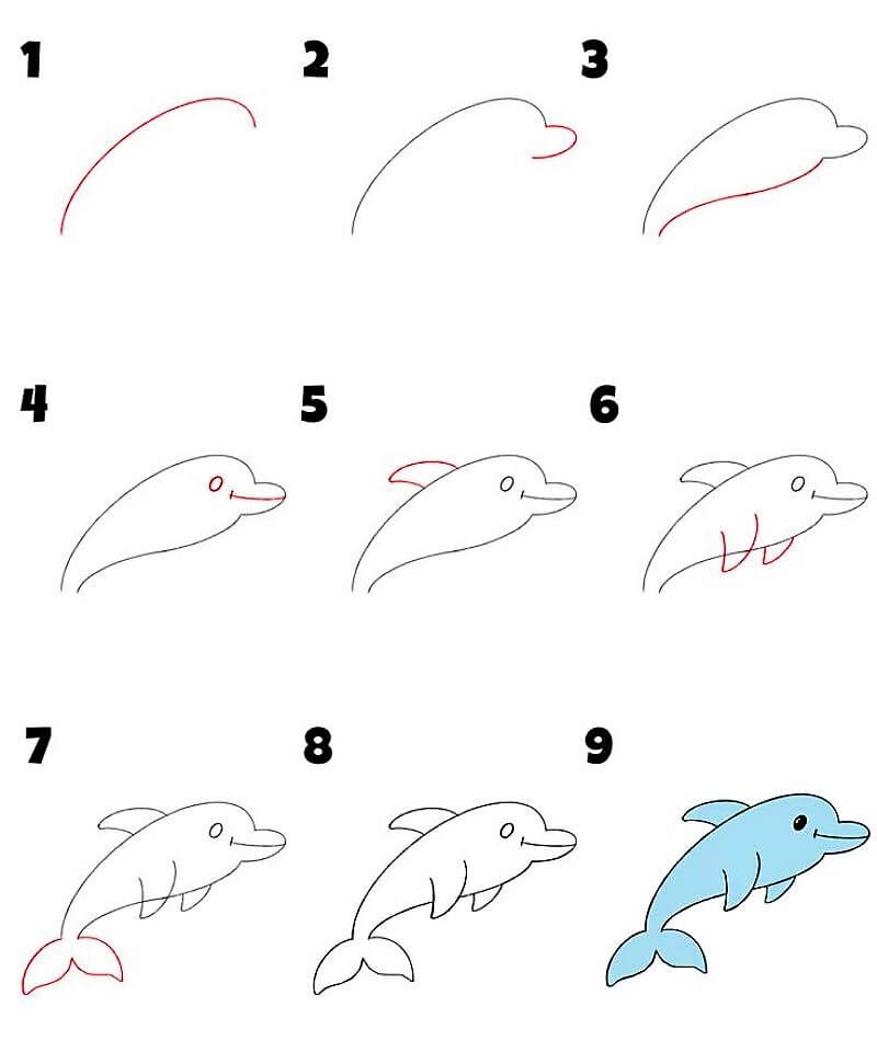 Une idée de dauphin 19 dessin