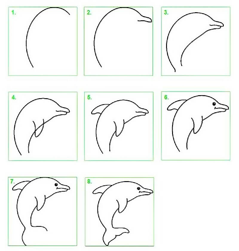 Une idée de dauphin 20 dessin