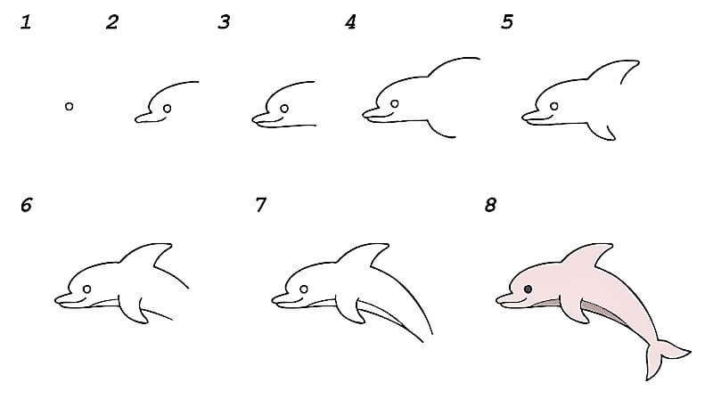 Une idée de dauphin 21 dessin