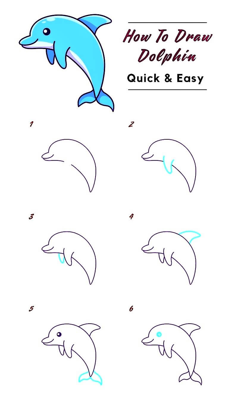 Une idée de dauphin 23 dessin