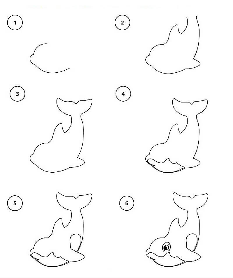 Une idée de dauphin 24 dessin