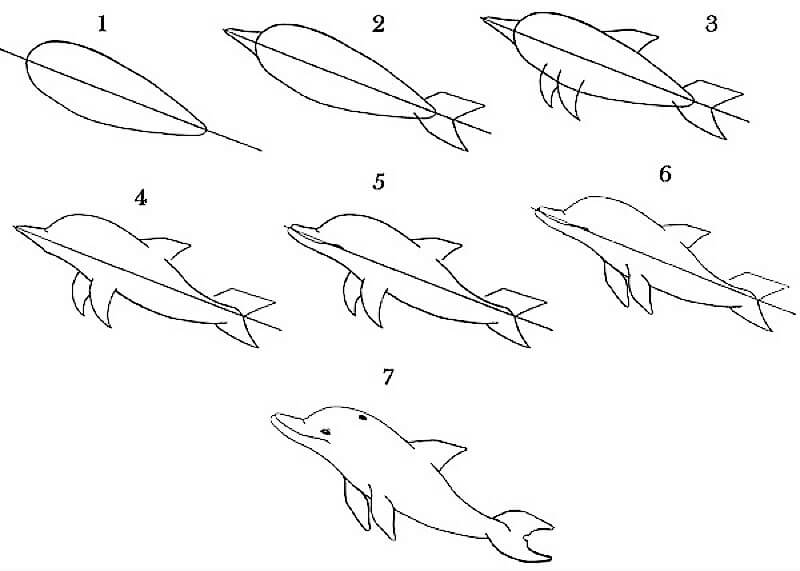 Une idée de dauphin 5 dessin