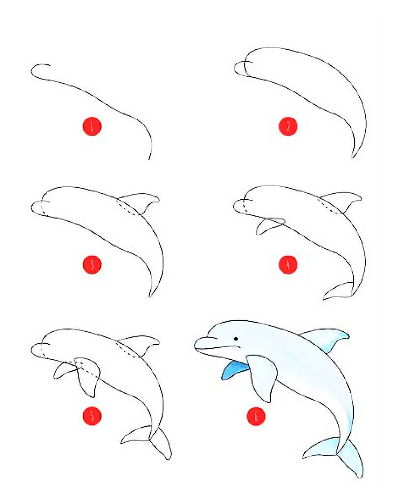 Une idée de dauphin 7 dessin