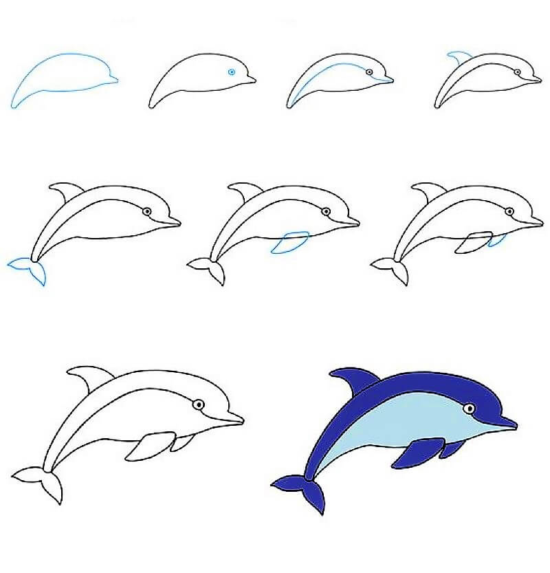 Une idée de dauphin 9 dessin