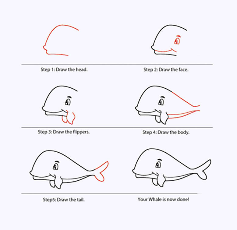 Une simple baleine dessin