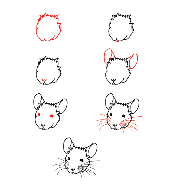 Visage de souris dessin