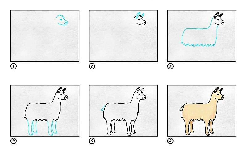 Comment dessiner Un simple lama