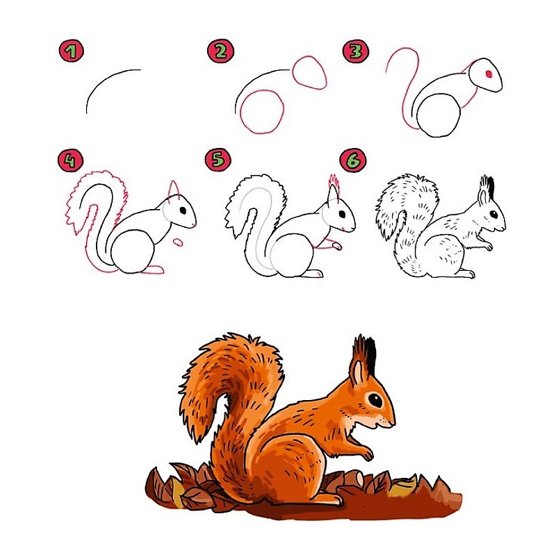Un écureuil de dessin animé dessin