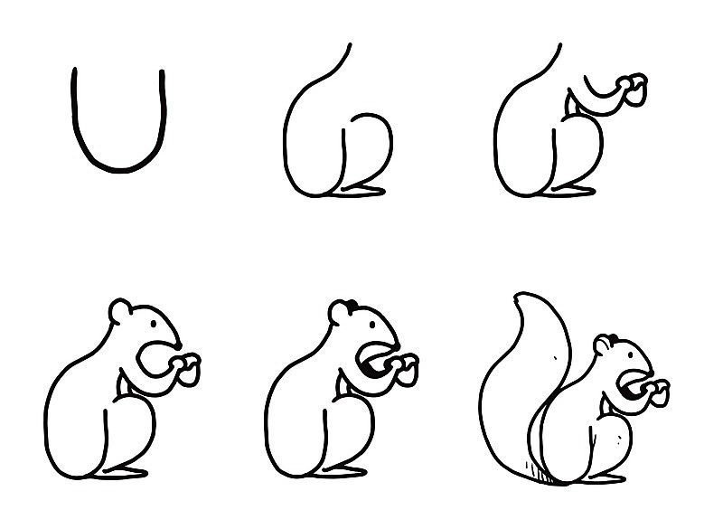 Un simple écureuil dessin