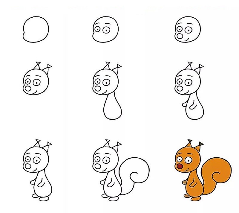 Une idée d'écureuil 10 dessin