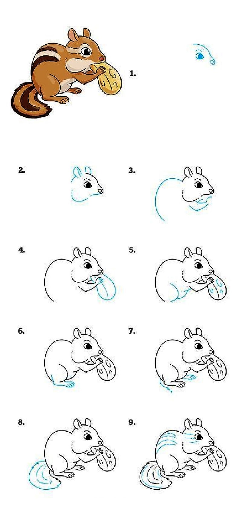 Une idée d'écureuil 3 dessin