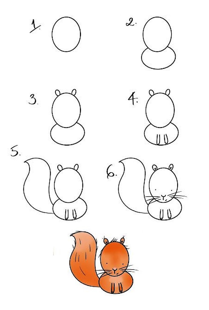 Une idée d'écureuil 6 dessin