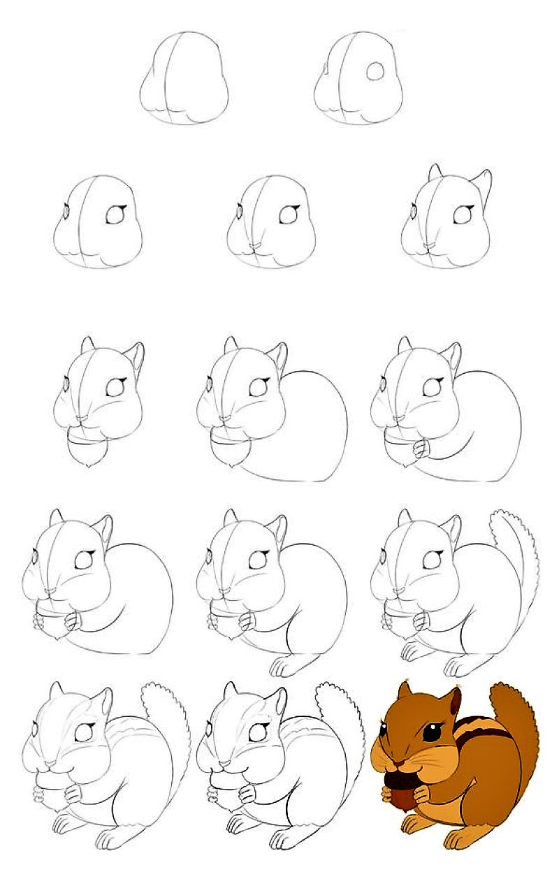 Une idée d'écureuil 8 dessin