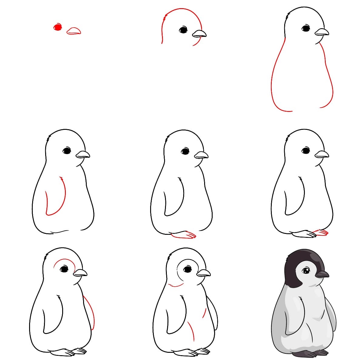 Bébé pingouin dessin