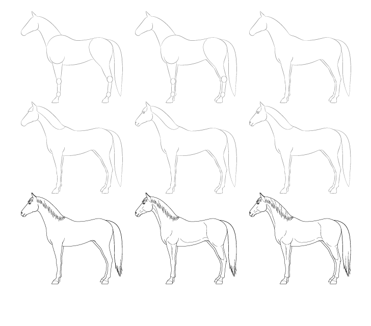 Dessin de cheval dessin