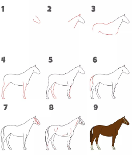 Idée cheval 2 dessin