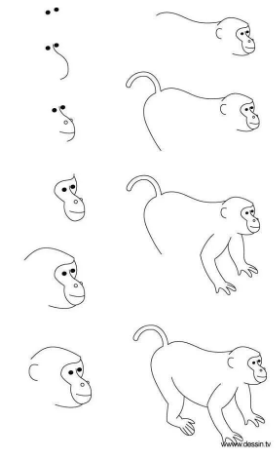 Idée de singe 6 dessin